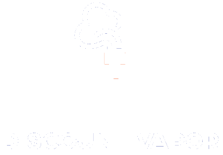 Discount Vapor